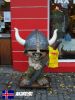 Resize_of_166-Akureyri.jpg