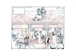 Maiali dei Caraibi - Tavola 6b