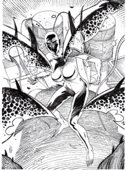 Ant