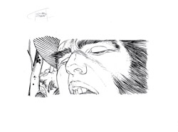 Wolverine